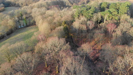 4K-Luftaufnahmen-Aus-Der-Wunderschönen-Britischen-Landschaft-In-Kent,-Die-Auch-„The-Garden-Of-England“-Genannt-Wird