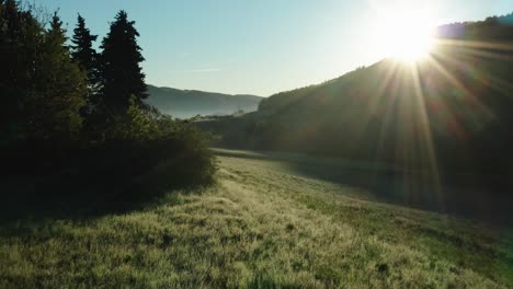Nahflug-über-Wunderschönes-Grünes-Feld-Mit-Morgentau-Während-Der-Morgenstunde-Mit-Blauem-Himmel-Und-Sonne,-Fliegen-In-Der-Nähe-Von-Kiefern,-Entspannende-Morgenatmosphäre