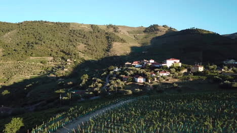 Schnell-über-Einen-Weinberg-Im-Douro-Tal-Fliegen-Und-Sich-Nach-Oben-Neigen,-Um-Einen-Portugiesischen-Herrenhauskomplex-Auf-Einem-Hügel-Zu-Sehen