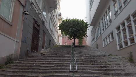 Baum-In-Der-Gasse-Der-Stadt,-Aufgenommen-In-Lissabon