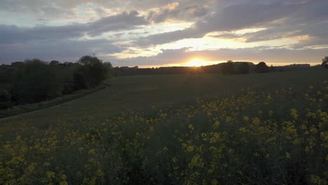 Atemberaubender-Sommerlicher-Sonnenuntergang-In-Einem-Rapsfeld-Im-Alten-Milverton-In-Der-Nähe-Von-Leamington-Spa,-Warwickshire,-England