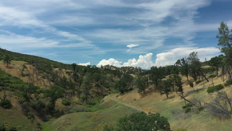 Aerial-establishing-shot-behind-a-tree-to-reveal-grassy-plains,-hills,-valleys,-mountains-cumulus-clouds,-in-Northern-California