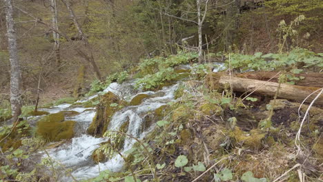 Wasserfälle,-Die-über-Die-Moosbedeckten-Klippen-Fließen