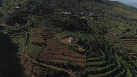 Dront-shot-of-a-village-with-Vegetable-plantation
