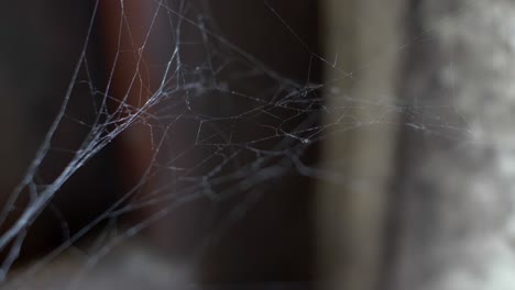 Makroansicht-Von-Wogenden-Spinnennetzen-Im-Innenbereich-Gesperrt