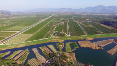 Flug-über-Landwirtschaftliche-Flächen-Im-Delta-Des-Flusses-Neretva-In-Kroatien