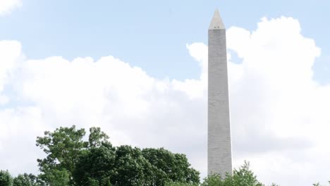 Close-up-of-the-Washington-Monument-through-some-trees-located-in-Washington-DC-in-the-USA