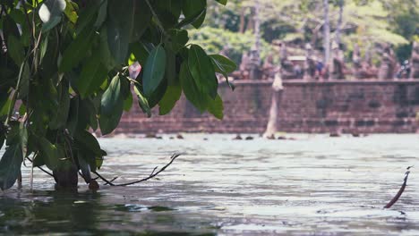 Aguas-Que-Rodean-Los-Antiguos-Templos-De-Angkor-Wat