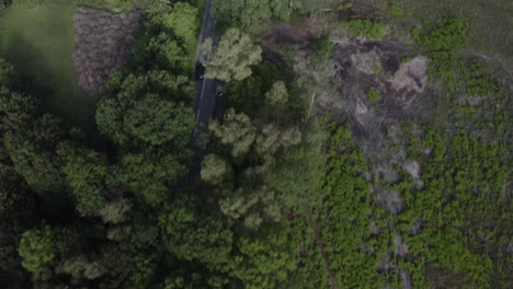 Drone-aerial-birds-eye-view-shot-of-car-tracking-along-countryside-forest-road