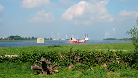 Typisch-Holländische-Landschaft-Mit-Fluss,-Wolken-Und-Windmühlen