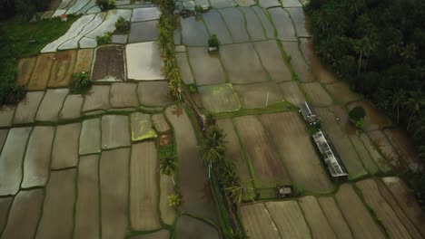 Rising-Up,-Panning-down-Drone-shot-over-some-flooded-Rice-Terraces-in-Bali,-Indonesia