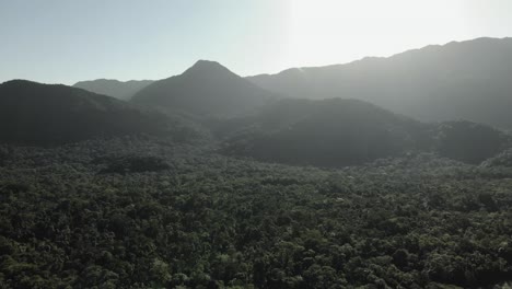 Hermoso-Vuelo-Aéreo-Sobre-La-Selva-Tropical