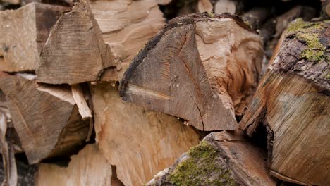 Tight-shot-of-a-neatly-stacked-pile-of-split-wood