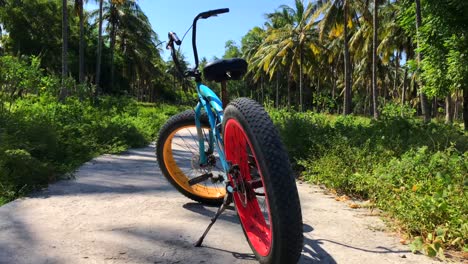Bicicleta-De-Arena-En-Medio-De-Una-Plantación-De-Cocoteros-En-Gili-Trawangan,-Bali,-Lombok,-Indonesia