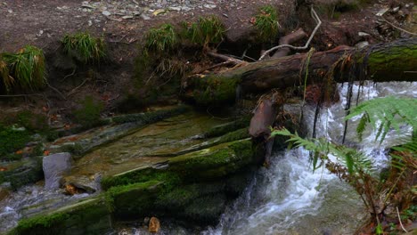Gesperrter-Blick-Auf-Den-Fluss,-Der-Unter-Umgestürzten-Bäumen-Und-Moosbedeckten-Felsen-Fließt