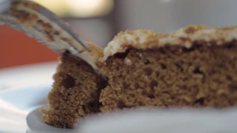 Fork-and-helping-of-carrot-cake-macro