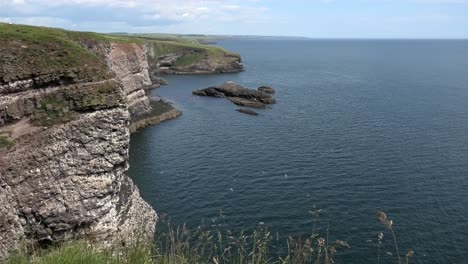Looking-north-along-the-Fowlsheugh-cliffs-with-flying-seabirds