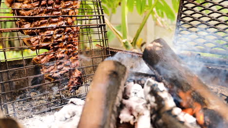 Lamb-rack-of-ribs,-barbecued-on-its-side-next-to-the-fire,-fat-dripping-down-from-heat