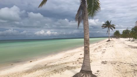 Kameraschwenk-Entlang-Eines-Menschenleeren,-Von-Palmen-Gesäumten-Karibischen-Strandes