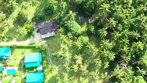 Isla-De-Tailandia-Con-Resort-De-Lujo-Y-Plantación-De-Palmeras