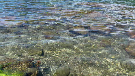 A-footage-of-a-lake-with-very-clear-water-towards-the-foot-of-a-lady-that-has-many-little-fish-circulating-around-this-feet