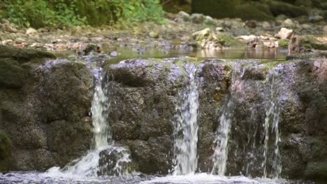 Kleiner-Reiner-Süßwasserwasserfall-Im-Wald,-Der-über-Moosige-Felsen-Läuft