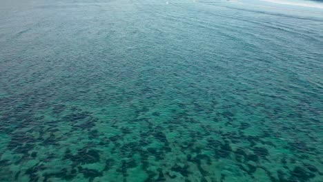 Luftaufnahme-Des-Vollkommen-Gesunden-Korallenriffs-Im-Kristallklaren-Türkisfarbenen-Wasser