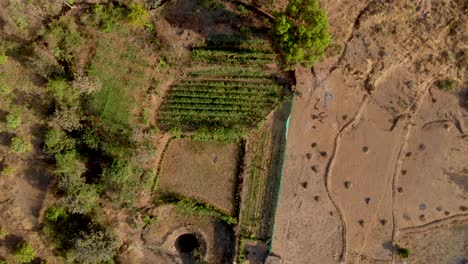 Rising-drone-shot-of-a-dry-Indian-hillside-step-farm