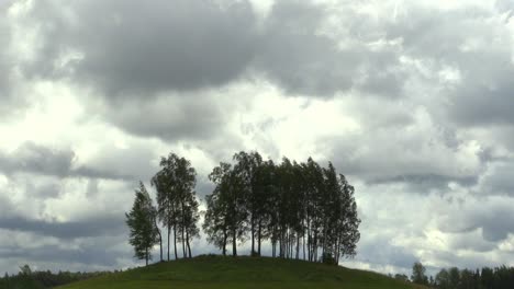 árboles-En-Una-Colina-Y-Timelapse-De-Día-Nublado