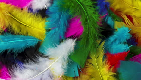 Rotating-pile-of-brightly-colored-feathers