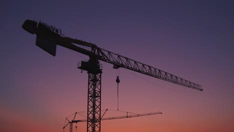 Camera-moves-down-to-Construction-cranes-with-birds-at-sunset