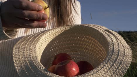 Woman-putting-ripe-red-apples-into-a-straw-hat-medium-shot