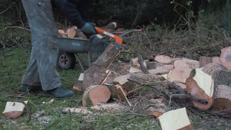 Man-tackling-chopping-logs-in-nature