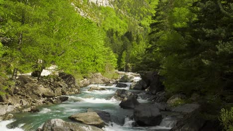 Río-De-Bosque-Que-Fluye-Rápido-En-El-Valle-De-Los-Pirineos,-España