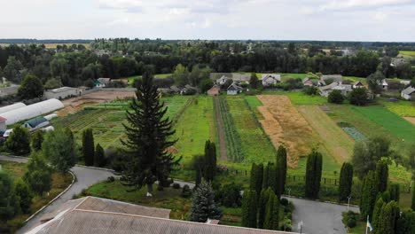 Aerial-View-of-a-Garden-With-Diverse-Crops-on-a-Summer-Day-Ascending-Revealing-Neighborhood