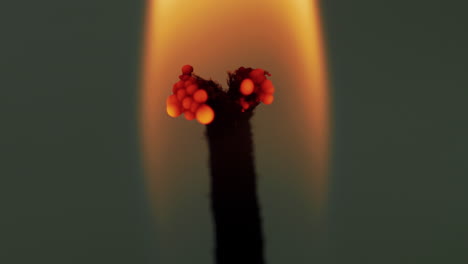 Studio-macro-shot:-candle-wick-split-on-top,-burning-and-flame-flickers-by-wind-movement