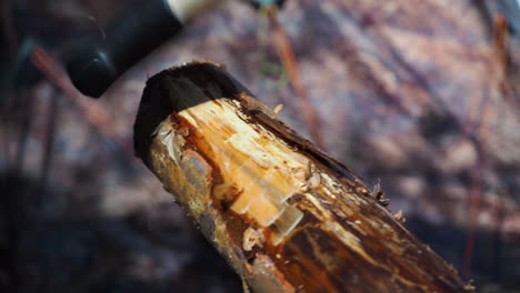 Sharpening-a-wooden-rod