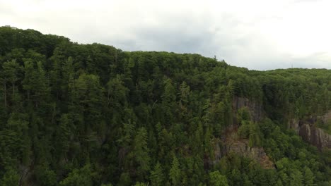 Pine-trees-growing-on-rocky-cliffsides-of-Quebec-in-Canada-on-overcast-day