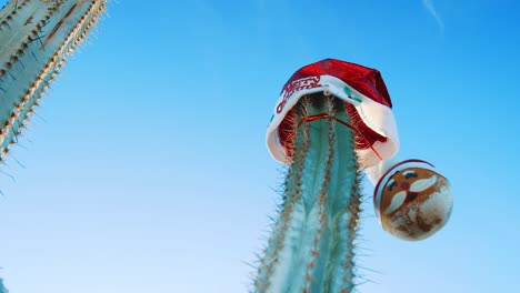 Curacao---Cactus-Wearing-Red-Christmas-Hat-With-Merry-Christmas-Greetings-And-Santa-Claus-Ball-Under-The-Blue-Sky---Close-up-Shot