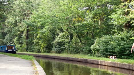 British-iconic-staycation-canal-boats-tourism-steering-through-calming-Welsh-woodland-greenery