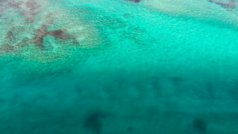 Bunte-Felsen-Und-Korallen-Wachsen-Auf-Dem-Meeresboden-Durch-Kristallklares-Blaues-Wasser