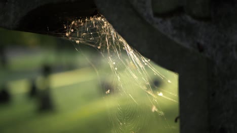 Cobweb-on-an-old-stone-headstone-with-graveyard-background-close-up-panning-shot