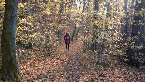 Beautful-Young-Girl-in-red-coat-walking-towards-camera-amidst-the-orange-brown-autumn-forest-woodlands-filled-by-bright-warm-sunlight