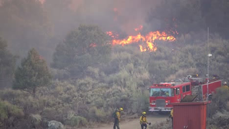firefighters-working-to-contain-major-brush-fire
