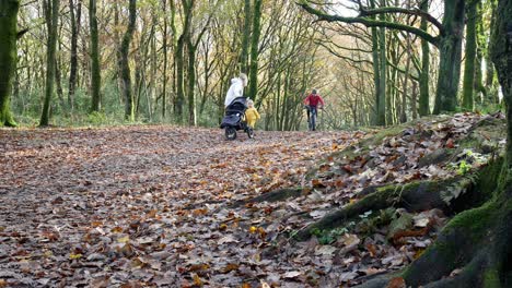 Mother-and-baby-walking-in-Autumn-woodland-pushing-pram-as-mountain-bike-rider-passes
