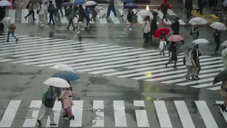 Fußgänger-Mit-Regenschirmen,-Die-An-Einem-Regnerischen-Tag-In-Shibuya,-Tokio,-Japan,-An-Der-Kreuzung-Von-Shibuya-Scramble
