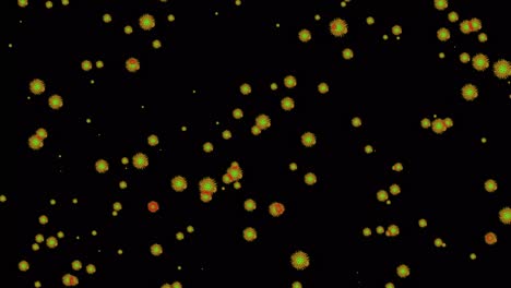 Las-Células-Del-Coronavirus-O-De-La-Gripe-Aparecen-En-Un-Fondo-Negro-Y-Luego-Se-Alejan-Para-Ver-Cómo-Se-Propagan-Las-Moléculas
