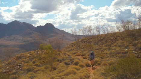 Hiker-walks-through-spinifex,-mountainous-landscape,-Central-Australia
