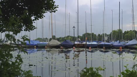 Bandada-De-Gansos-Nadando-En-El-Lago-Alster-Exterior-En-Hamburgo,-Alemania-Con-Embarcaciones-De-Recreo-Amarradas-Al-Embarcadero-Bajo-Un-Cielo-Nublado-Gris