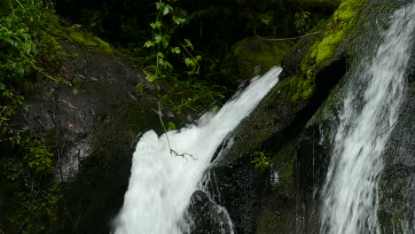 A-small-waterfall-inside-a-lush-jungle-with-a-vine-branch-touching-the-stream,-being-jostled-around-by-the-force-of-the-stream